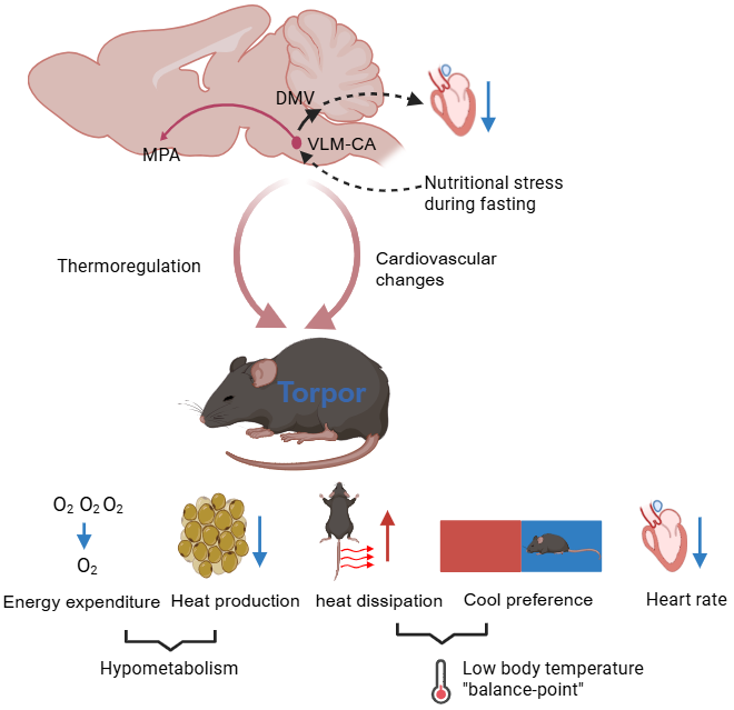 6d1f7bcb5577de7796808ff6c542dadd